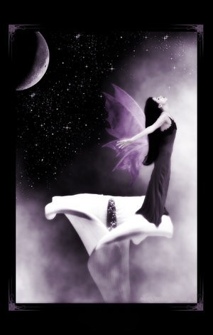 IL ne voit pas que je l'aime